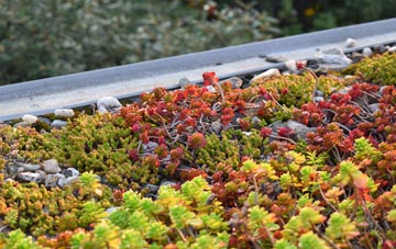 the cost of Hatch Bottom green roof installation