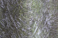 Hatch Bottom fibreglass roof work